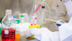 A researcher pipes samples into test tubes