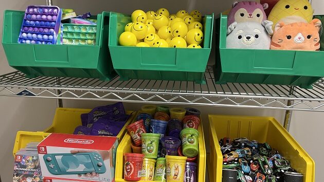 Bins of toys sitting on shelves. The bins have stress balls, play dough, and pop-its in them.