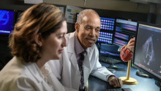 Two doctors looking at images on a computer screen