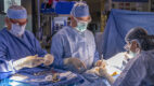 cardiac doctors in surgery