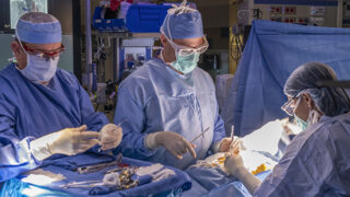 cardiac doctors in surgery